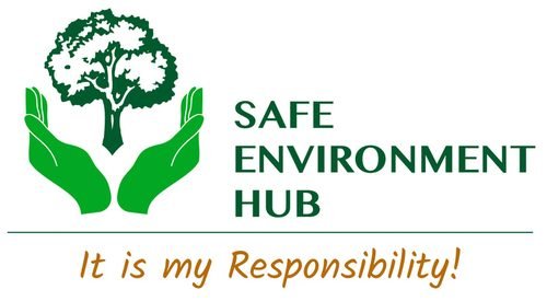 Safe Environment Hub